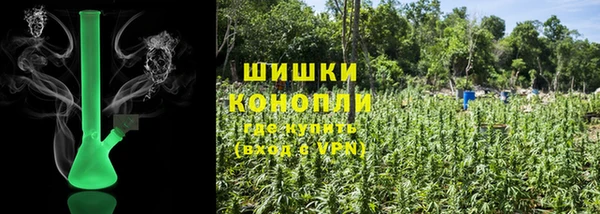 прущие грибы Воткинск