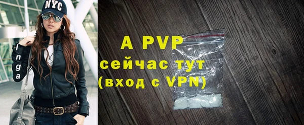 прущие грибы Покачи